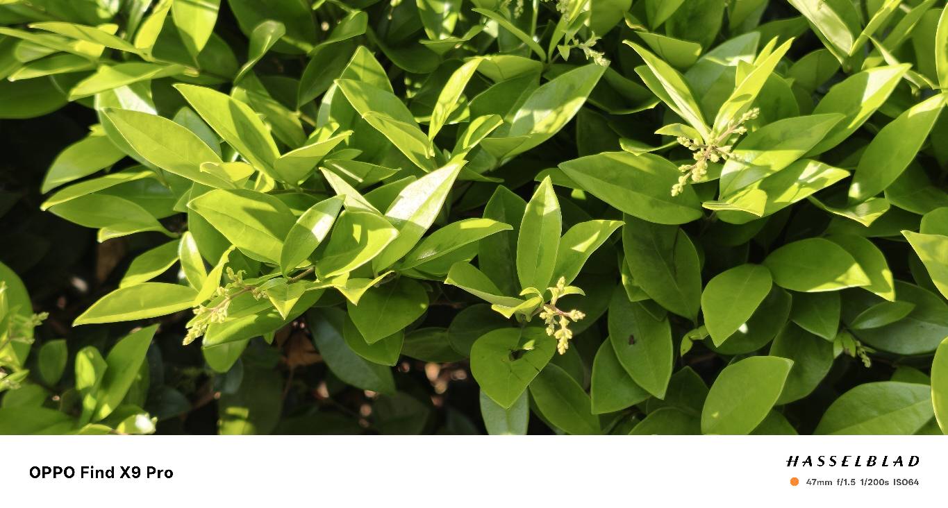 x9p是我用过手感最好的find系列

66 / 作者:中国工商银行卡农分行 / 