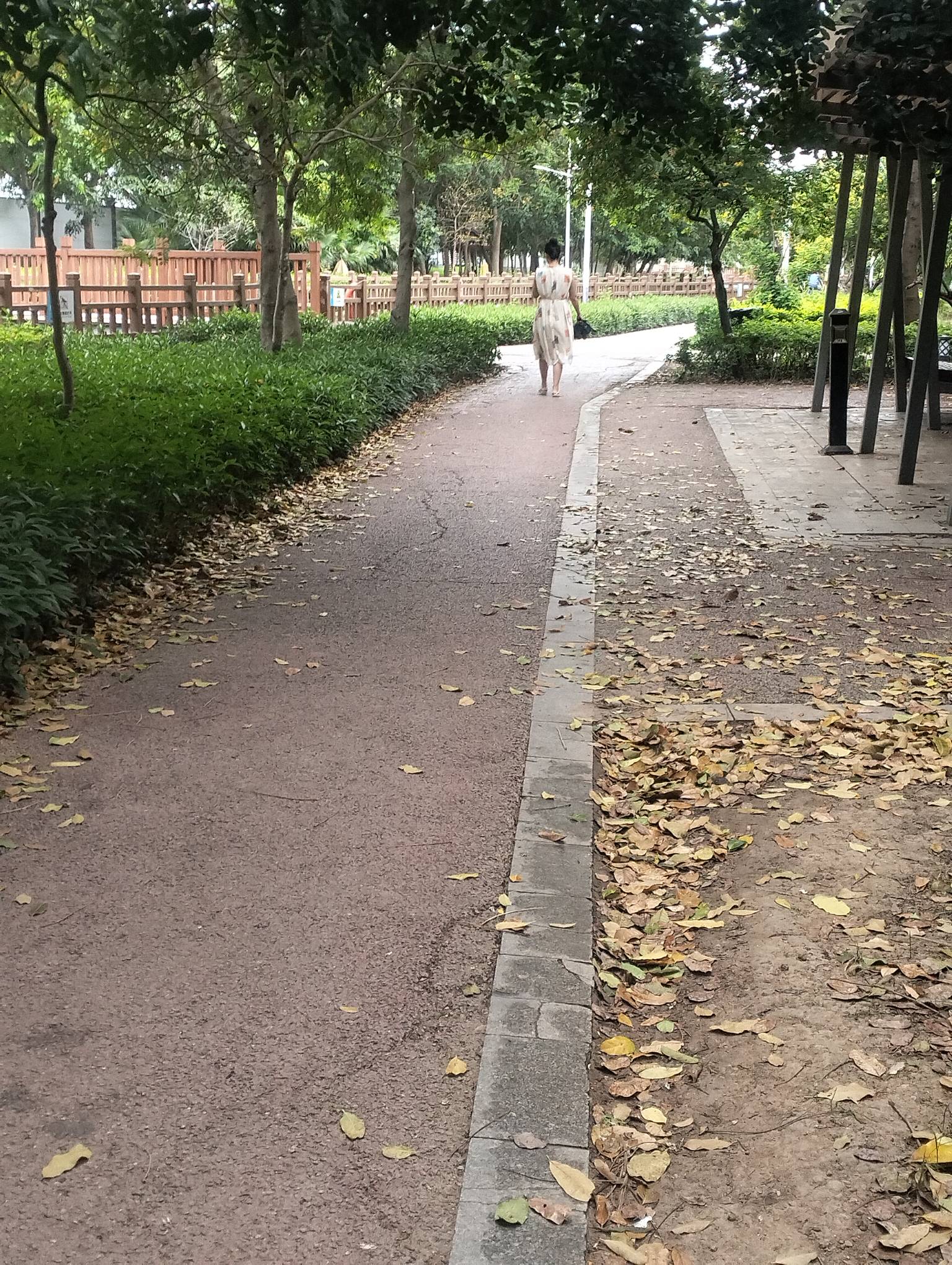 瘫痪公园饿晕过去刚醒，有没有毛毛，地上烟.都没有，咋活啊

9 / 作者:尛•牛•氓 / 