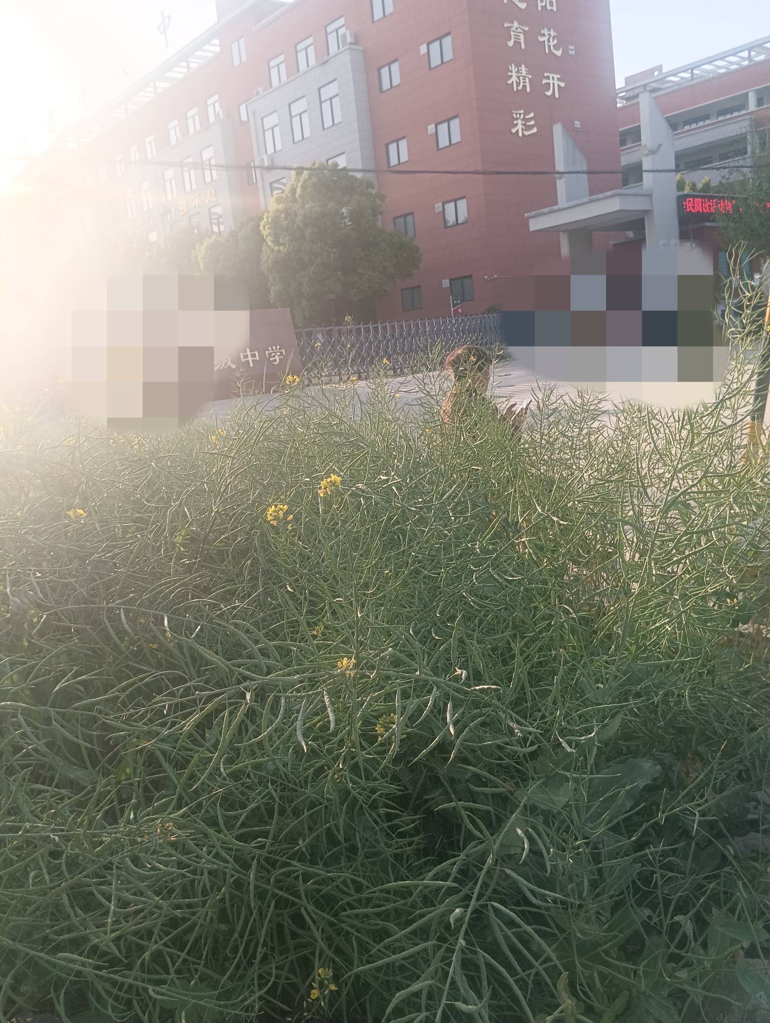 接娃放学

1 / 作者:月之光芒 / 