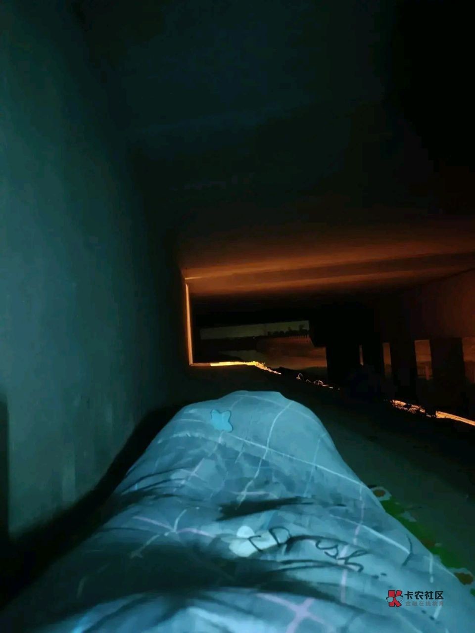 毛呢？一点毛没有？天桥下好冷

42 / 作者:广鸡周某人 / 