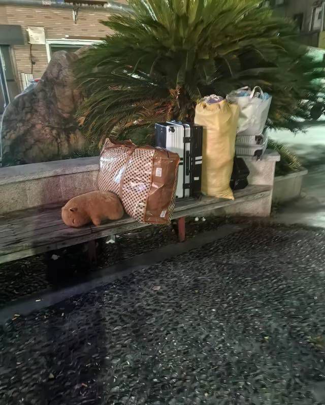 这是那位老哥的床位，装备这么多，人又不在，是不是去蹭wⅰfⅰ上卡农申请羊毛了。不怕24 / 作者:广东应聪 / 