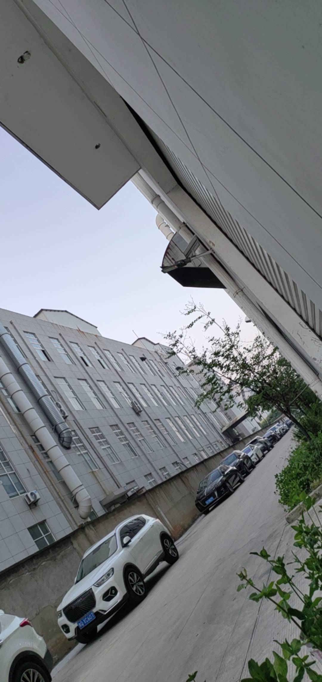 赌博一时爽去年没了30多个，偷我老妈卡里的钱，还没暴雷，工厂一夜220，想想真不是滋1 / 作者:山南钟 / 