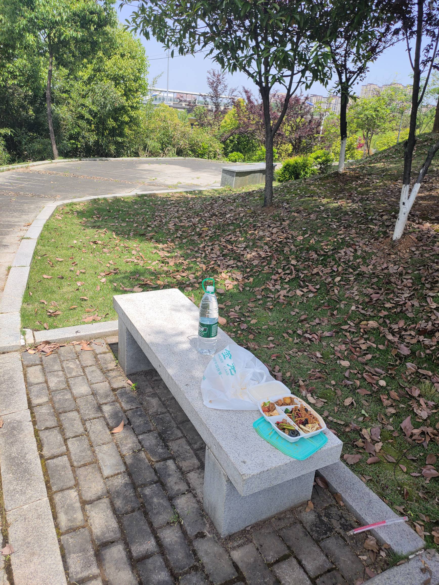 瘫痪公园，吃个快餐


13 / 作者:红菜苔 / 