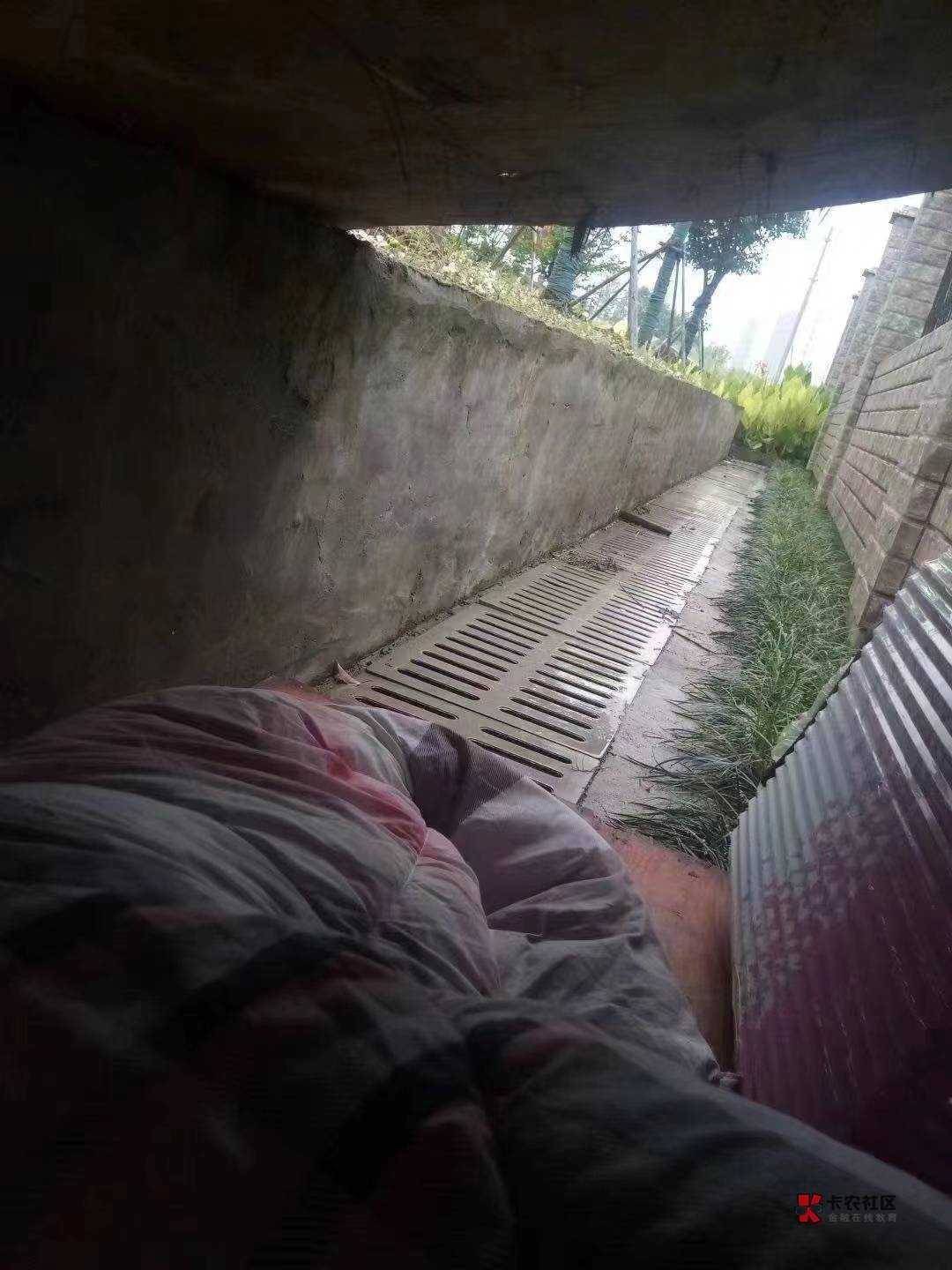 卡农有没有10年以上没回过老家的挂壁老苟？

52 / 作者:广鸡周某人 / 