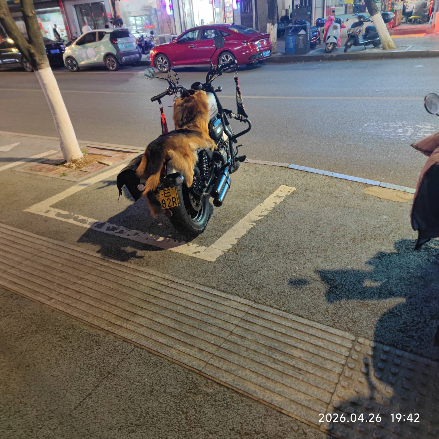 老哥这摩托，自带毛绒座椅加热啊

16 / 作者:心态放青葱9 / 