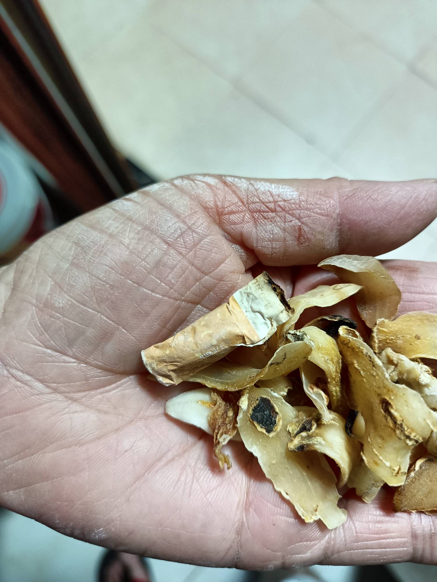 拼夕夕商户买的这是多大的毛，老哥们

54 / 作者:农卡农 / 