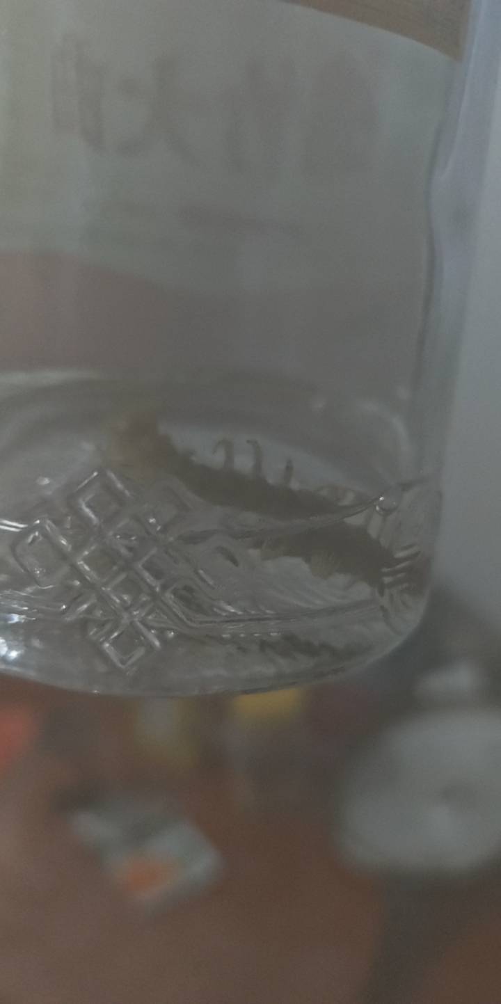 炮起了了

30 / 作者:露西亚的鱼 / 