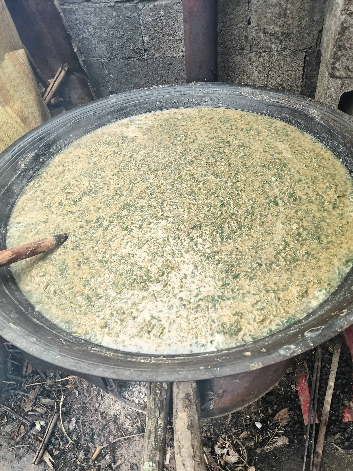 瓜皮了



24 / 作者:忙碌的藤壶 / 