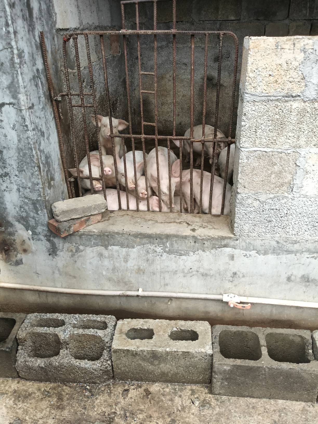 瓜皮了



25 / 作者:忙碌的藤壶 / 