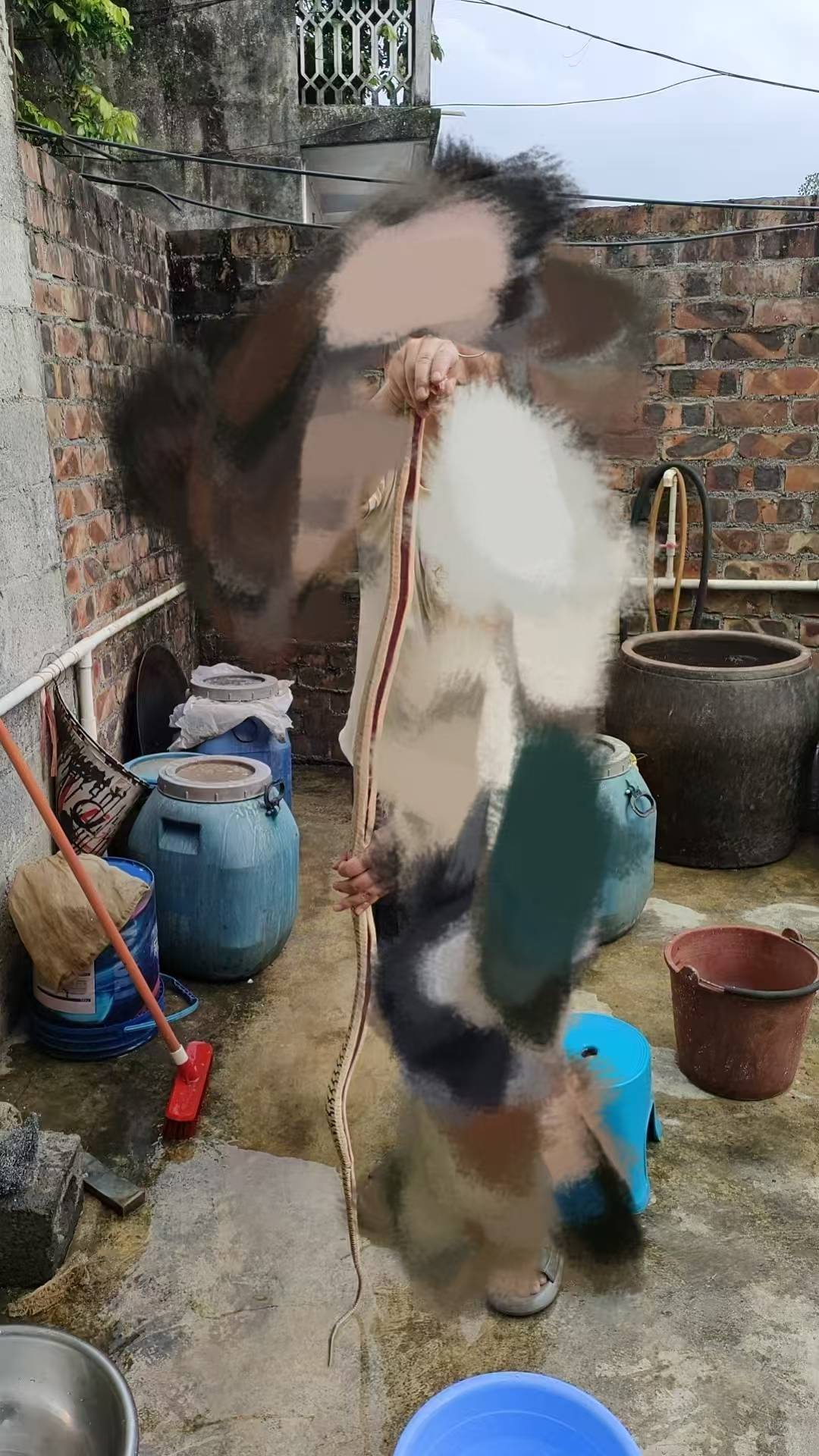 这东西要加几斤老母鸡才得行？

93 / 作者:要辩难辩 / 