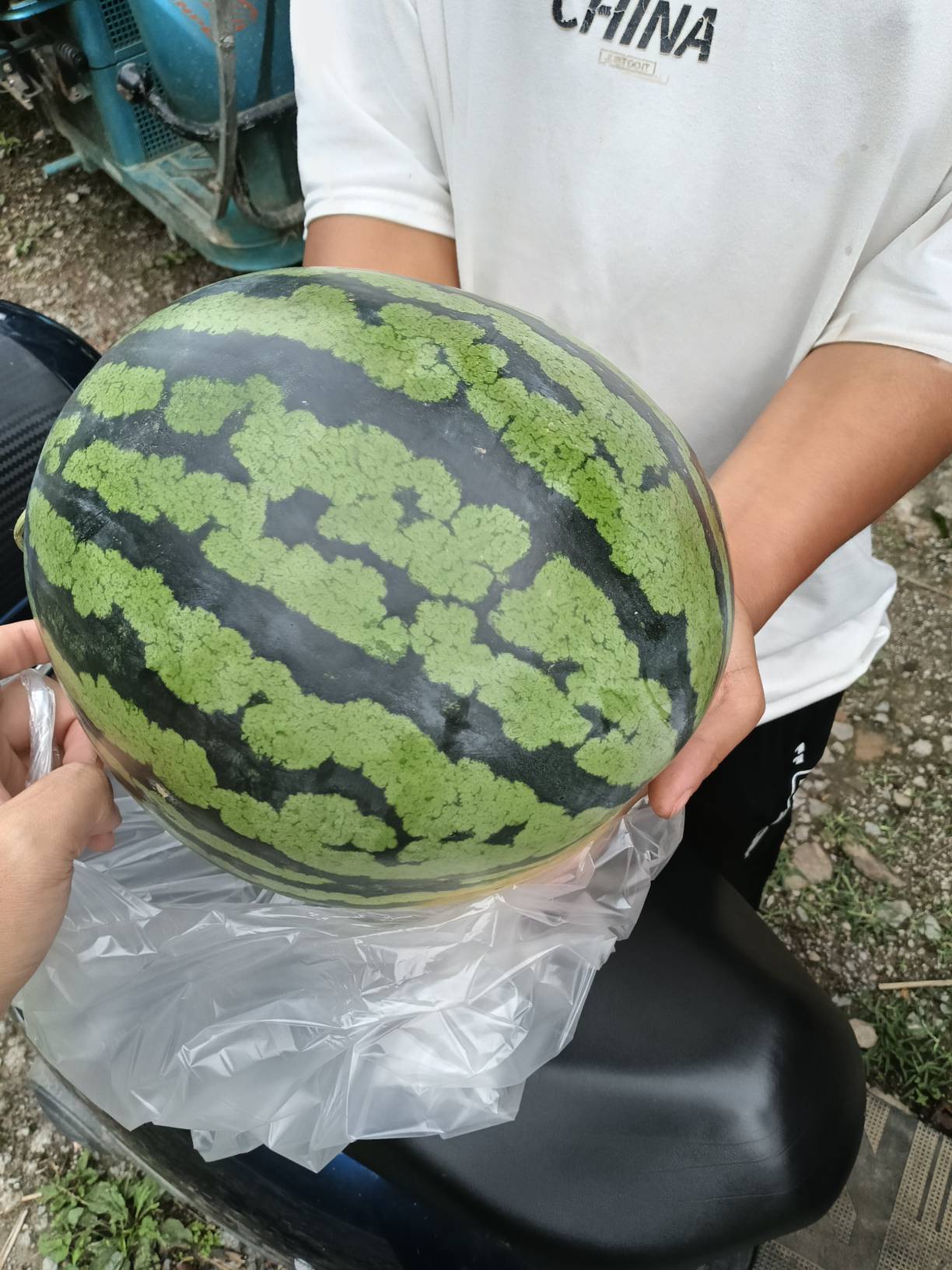 瓜皮了，吃西瓜



67 / 作者:忙碌的藤壶 / 