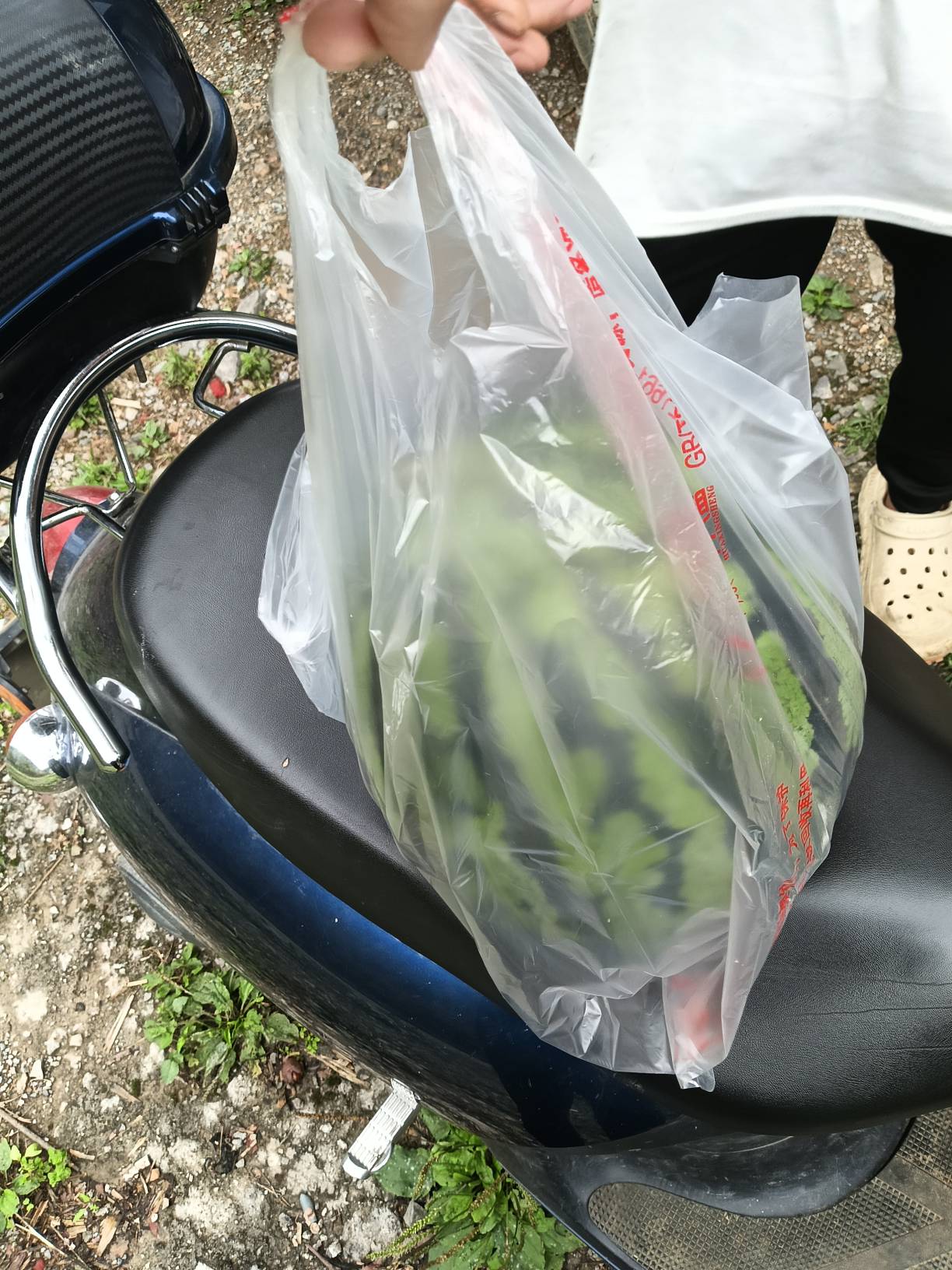 瓜皮了，吃西瓜



43 / 作者:忙碌的藤壶 / 