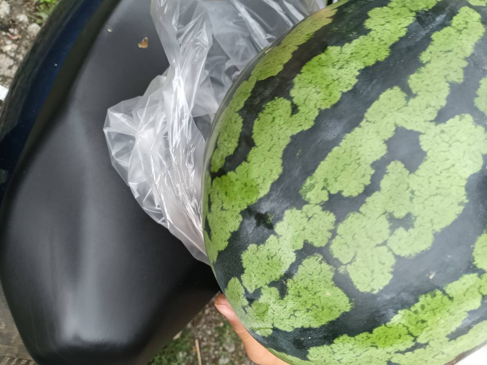 瓜皮了，吃西瓜



9 / 作者:忙碌的藤壶 / 