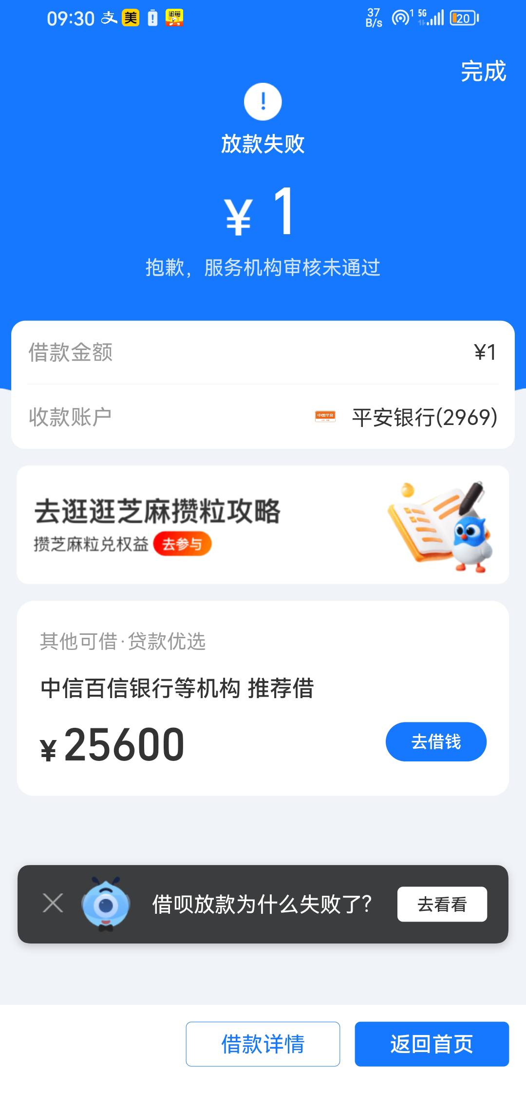 这个月除了发票还没破零。这支付宝借呗，1块钱都借不出来。

34 / 作者:我一个人流浪 / 