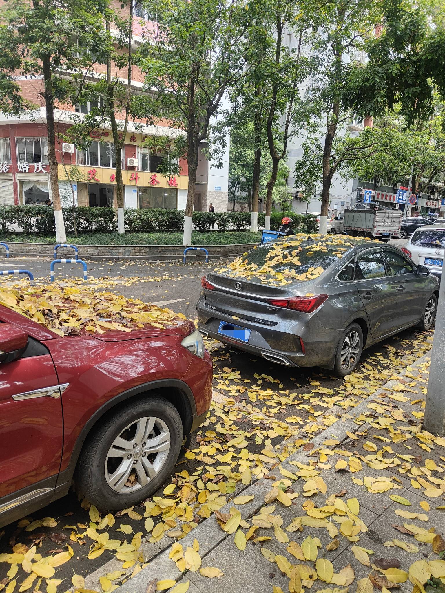 出门干活了老哥们，再赚200就破2k了

69 / 作者:出来打我 / 