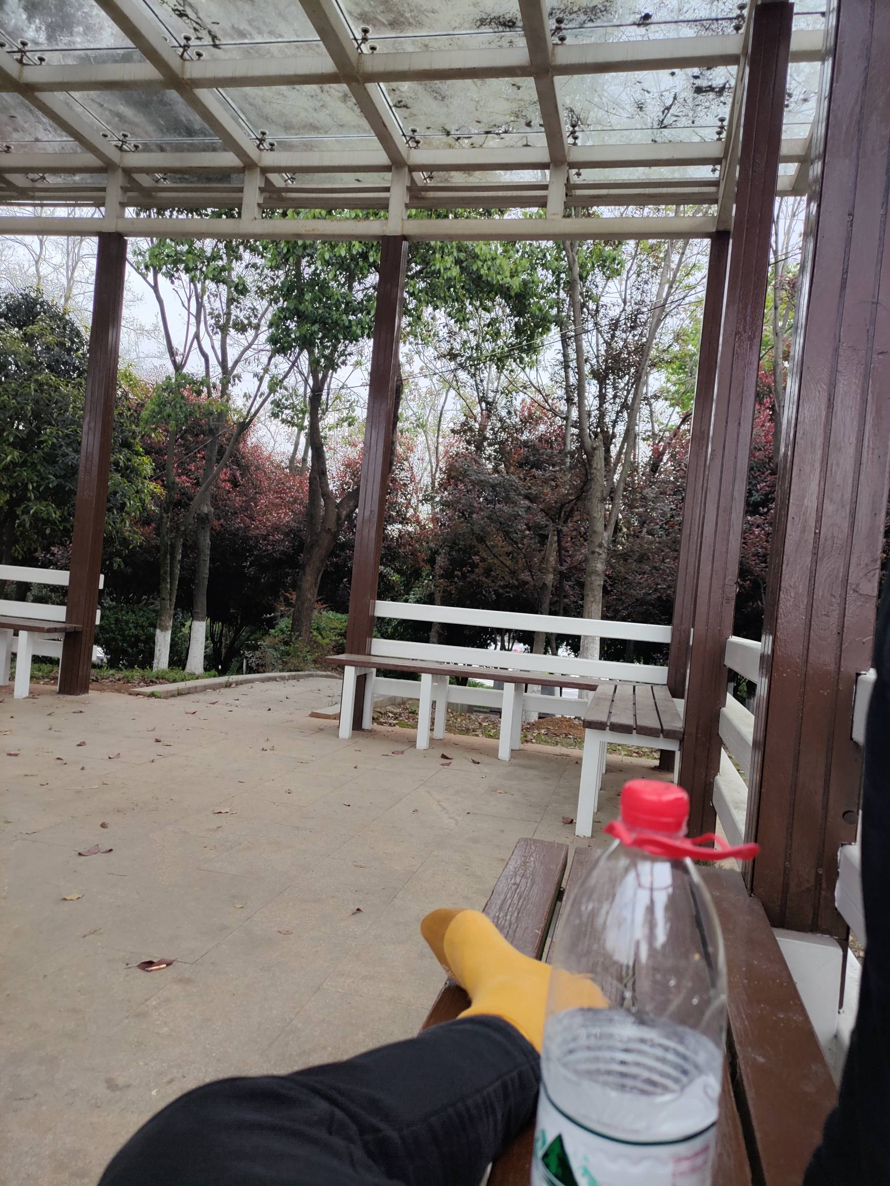 我的挂比老根据地也不干净了，两天不在这里，居然有人偷摸在这里打野战，是哪个老哥干61 / 作者:红菜苔 / 