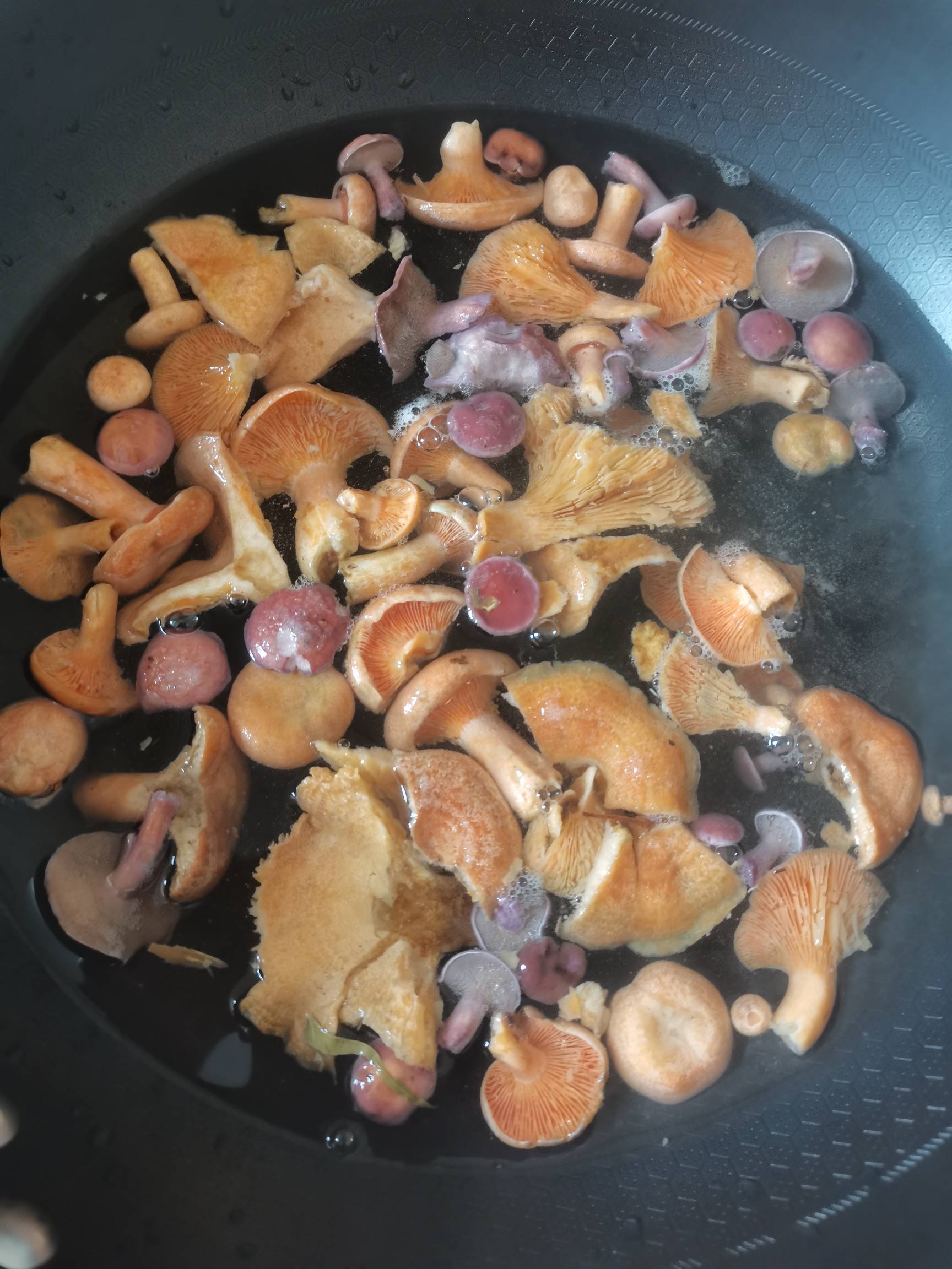 爬山捡的精品。比乌枞菌舒服

4 / 作者:老哥想上岸！！ / 