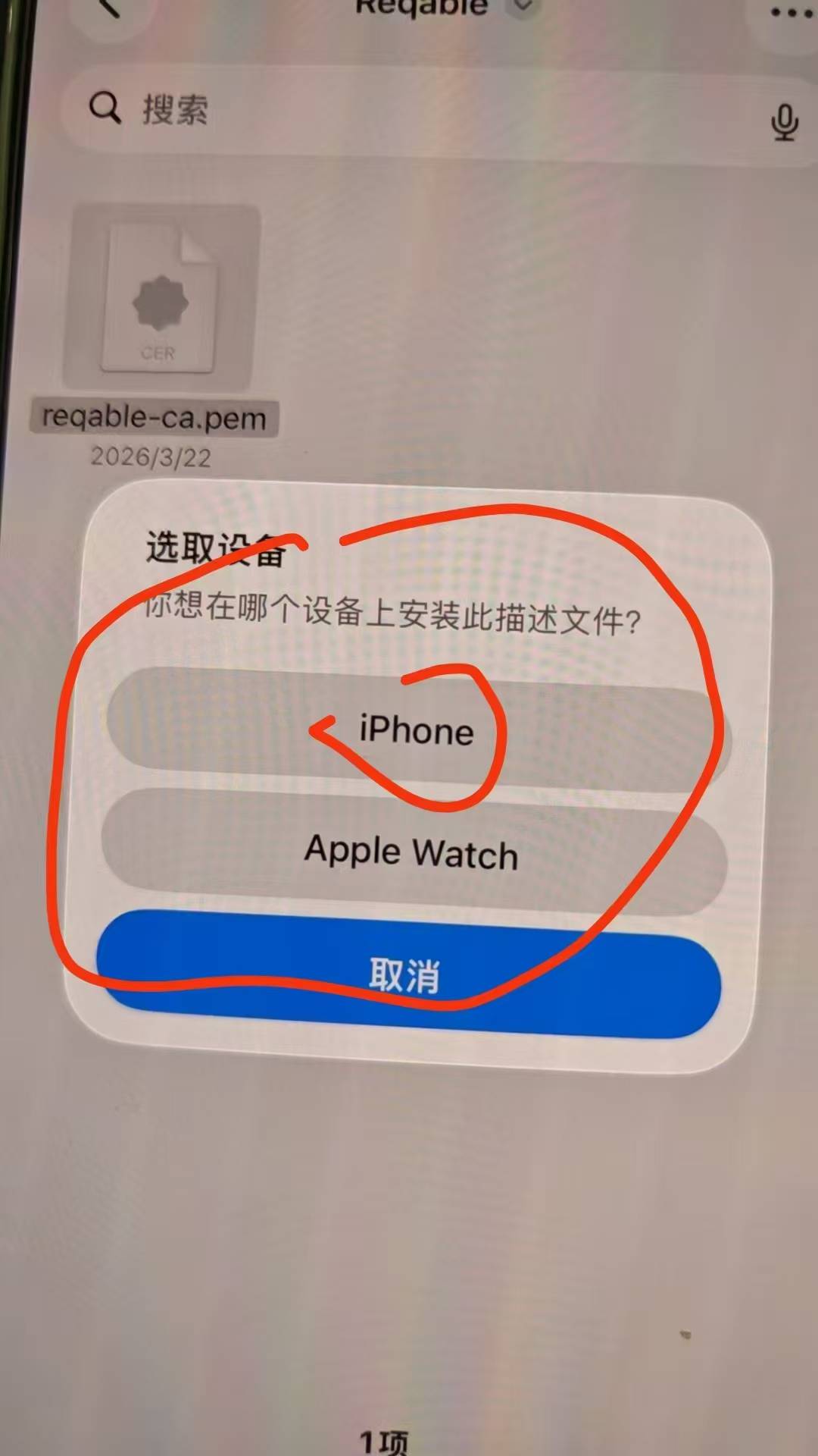 都在偷申请京东嘛？我分享一下京东教程
提取APPCK 时匹配规则改为：   https://*s*.jd6 / 作者:回忆回忆2001 / 