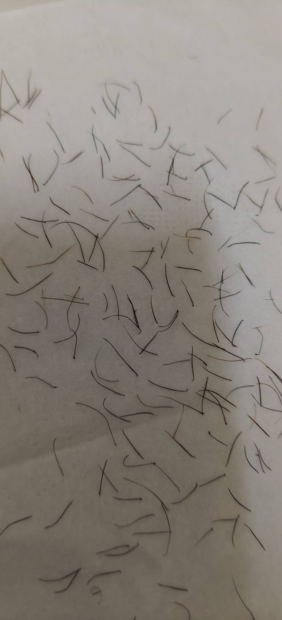 没毛了，进厂又要没成功，只能边拔胡子边刷卡农了

43 / 作者:扛不住了老哥们 / 