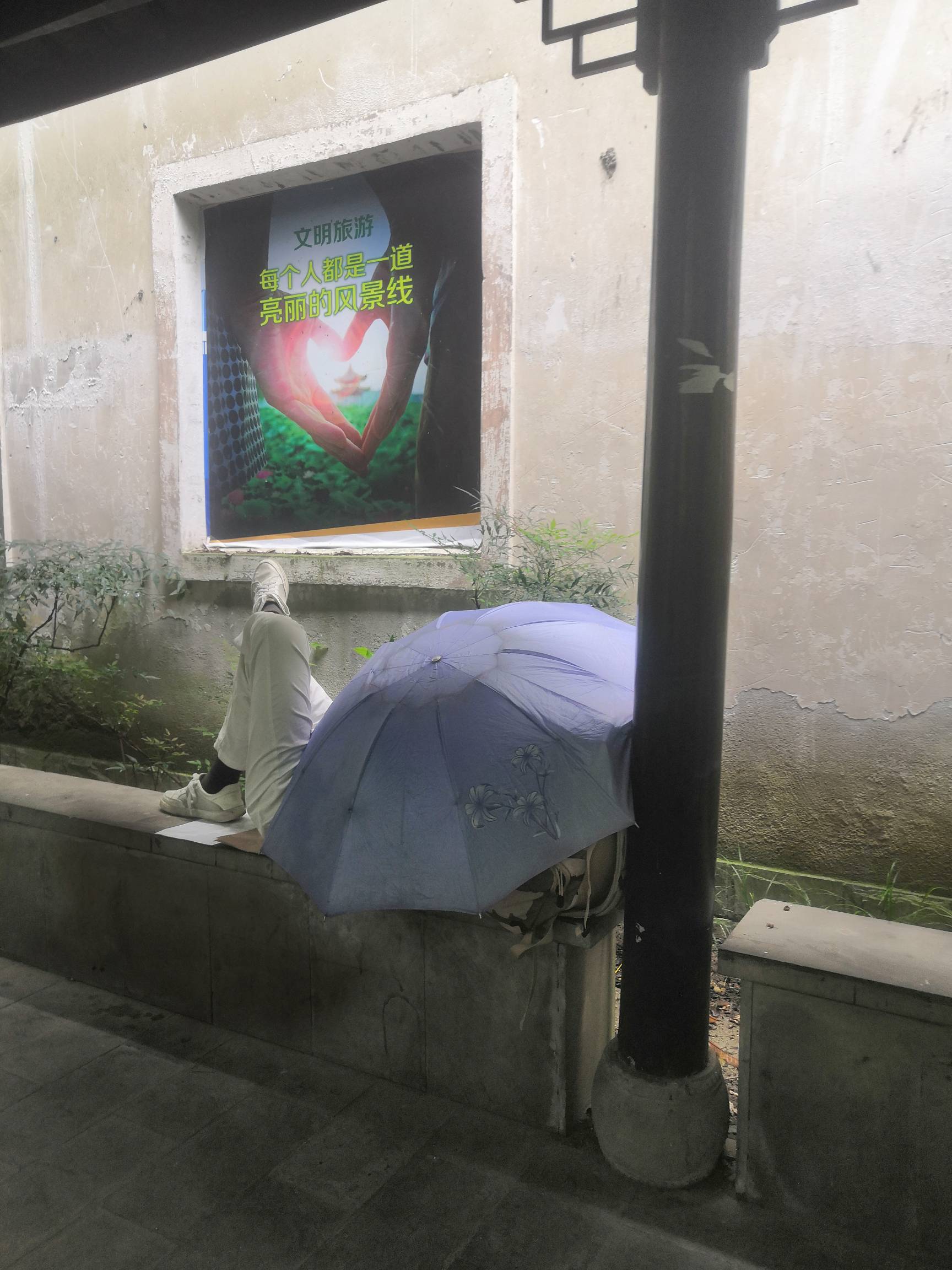 老哥们，宝宝真的好饿，外面下着大雨，挂壁在公园的凉亭中，我想家了。
55 / 作者:二十八星天牛 / 