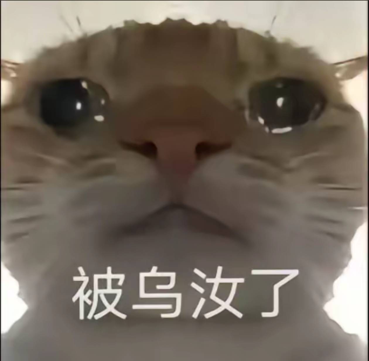 老哥们，参加到幽灵活动了，刷了一个月流水，给抽奖次数，在有活动奖品的情况下显示已78 / 作者:苏酥稣 / 