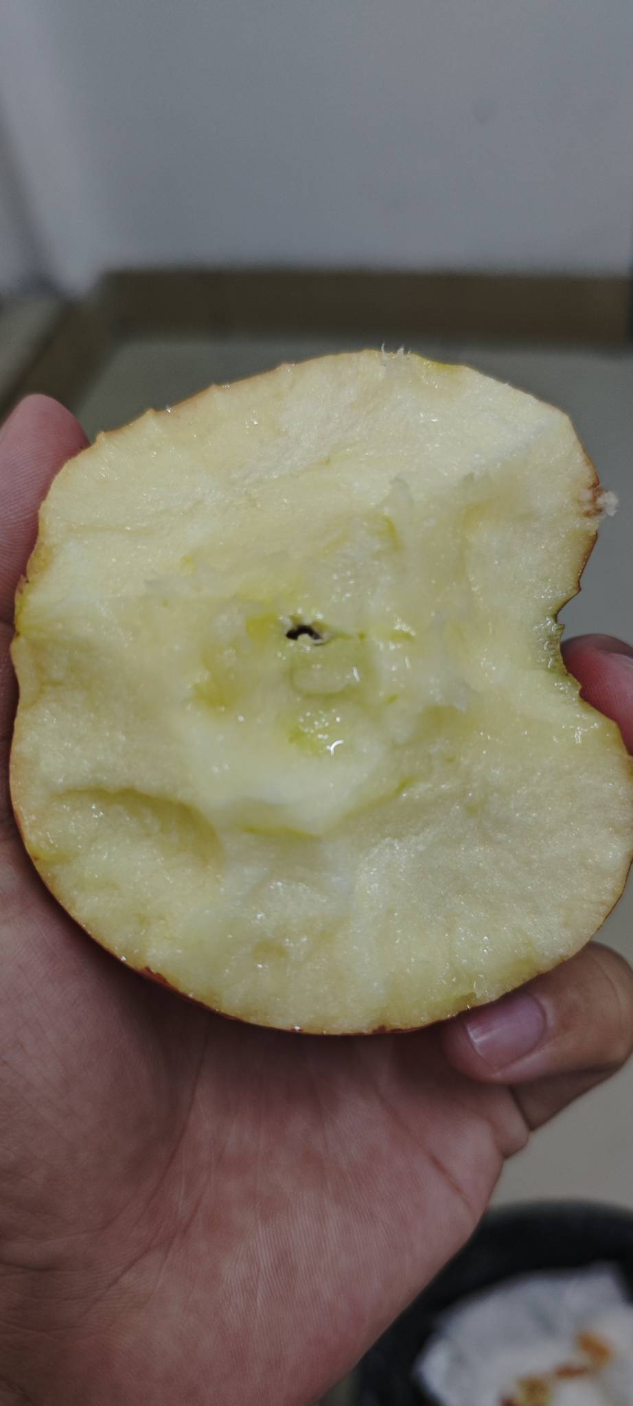 有陕西老哥吗？你们那边的苹果这么好吃的吗

13 / 作者:卡农豆包 / 