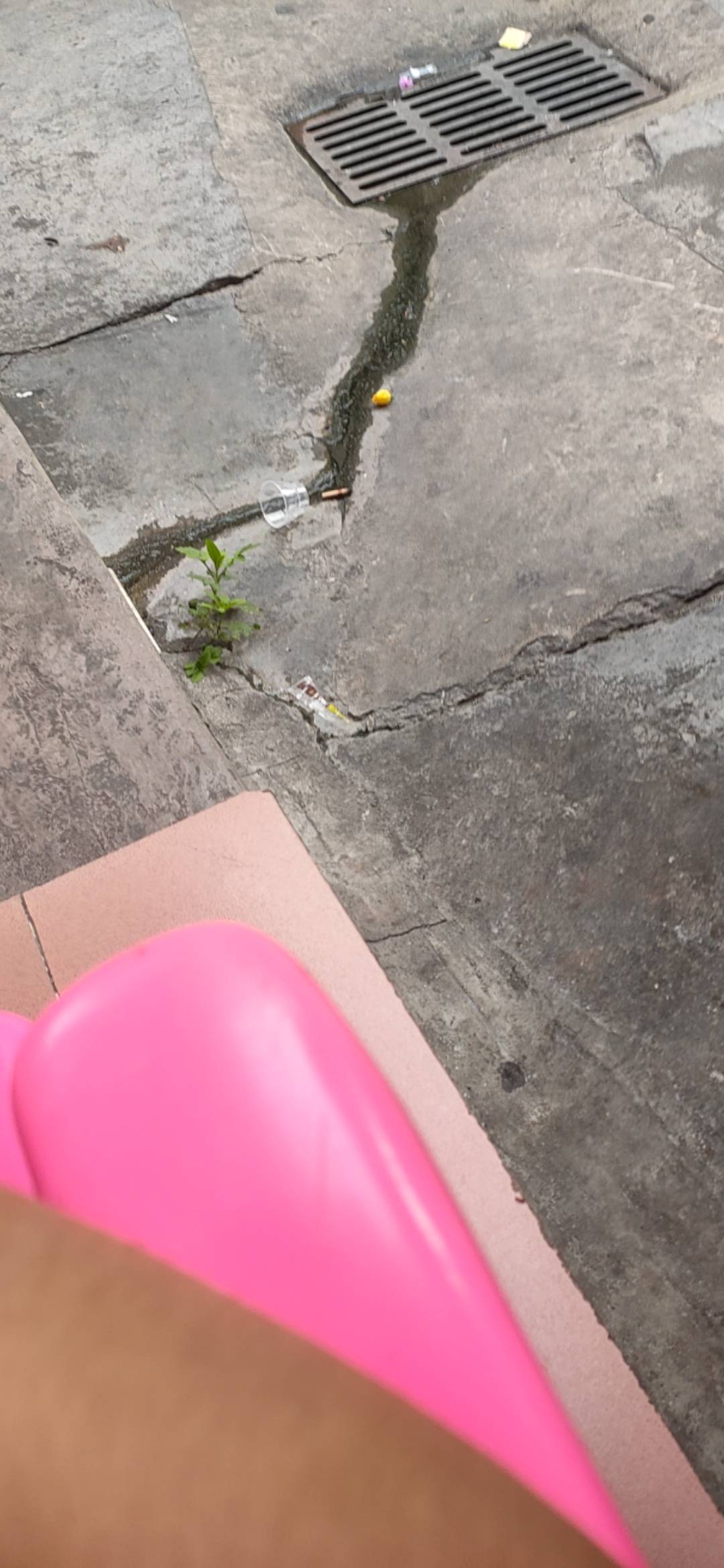 速速发毛啊看老哥们一个个几百几百的发票看的心痒痒

5 / 作者:卡农百晓生 / 