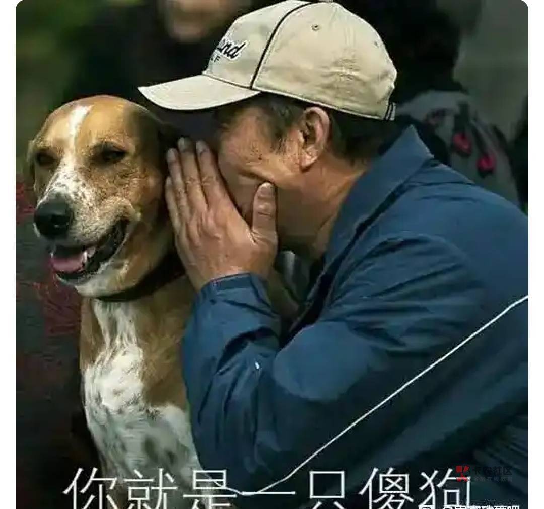 我发现老哥们点的外卖总是坏的，隔夜的，总是有头发，苍蝇。钢丝球的

1 / 作者:假老哥真挂壁 / 