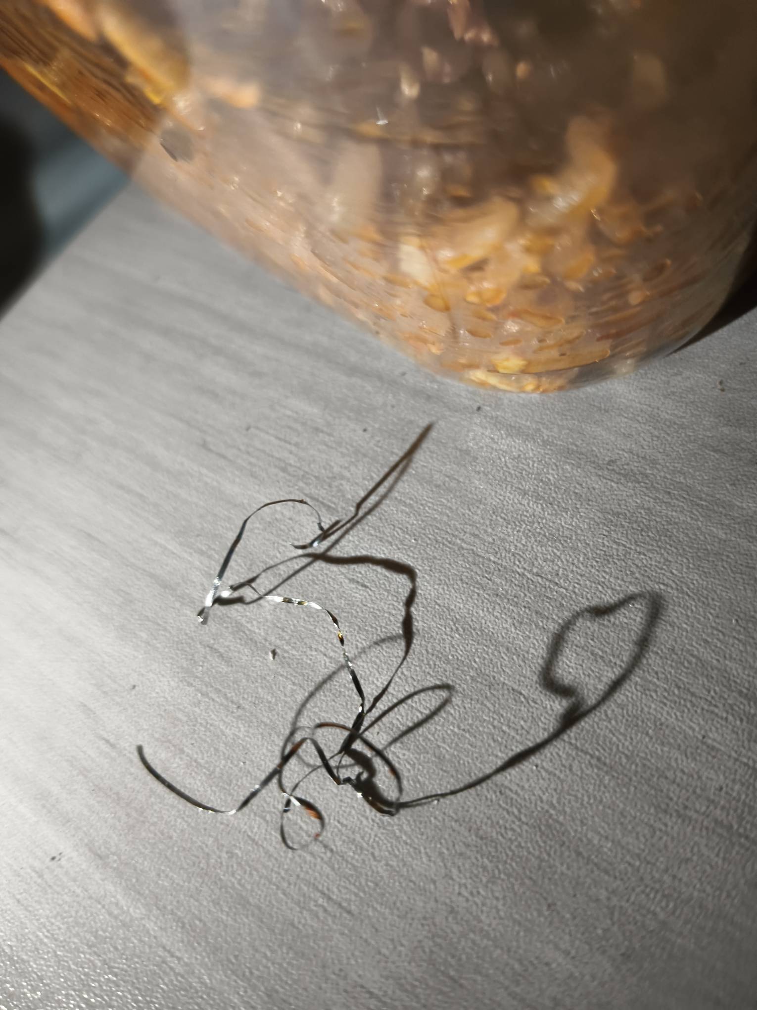 美团免单了，然后吃出来这玩意 申请放心吃理赔免单金额还会给吗？

77 / 作者:如果没有如果丶 / 