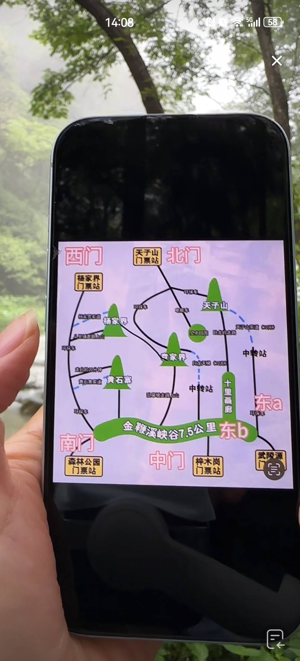 有没有张家界的老哥 求你们了 给我个游玩森林公园和天门山的攻略 我小红看的头晕眼花
37 / 作者:搞钱！ / 