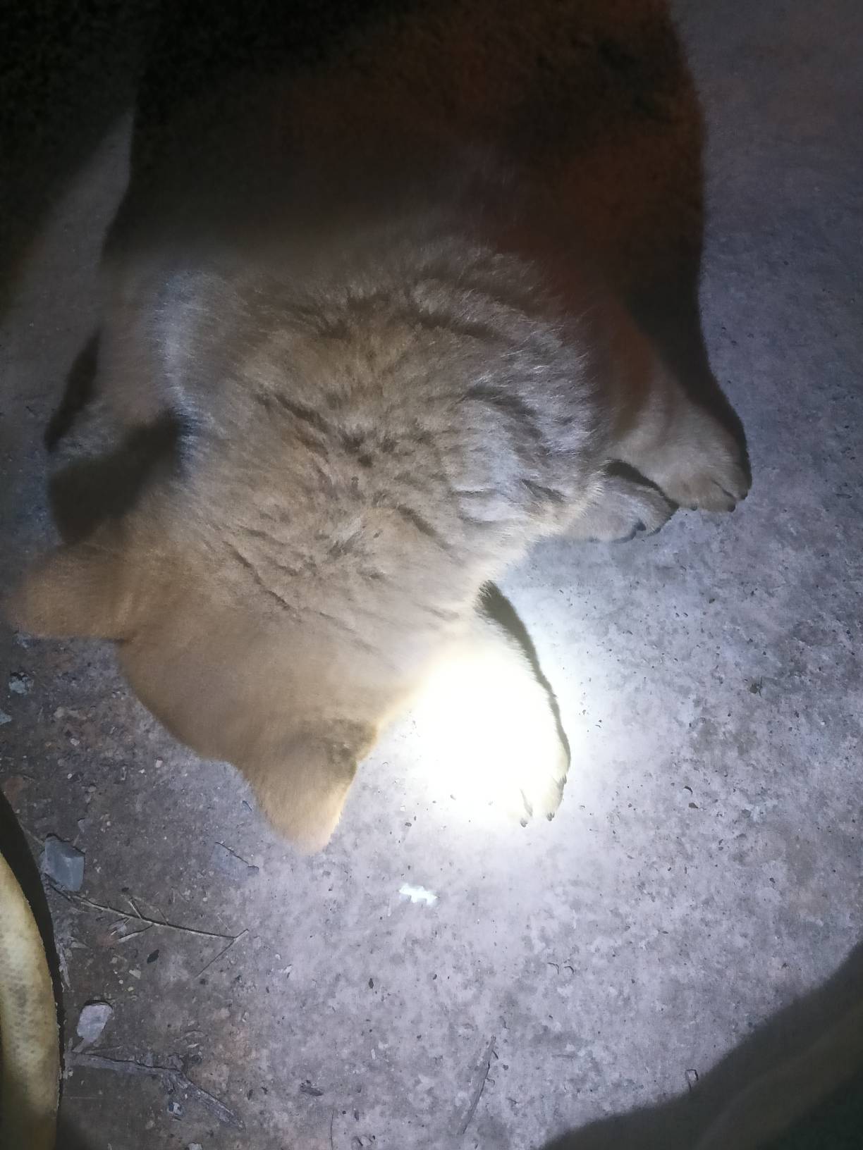 猪猪今晚生不生啊，我都想上去睡觉了



75 / 作者:忙碌的藤壶 / 