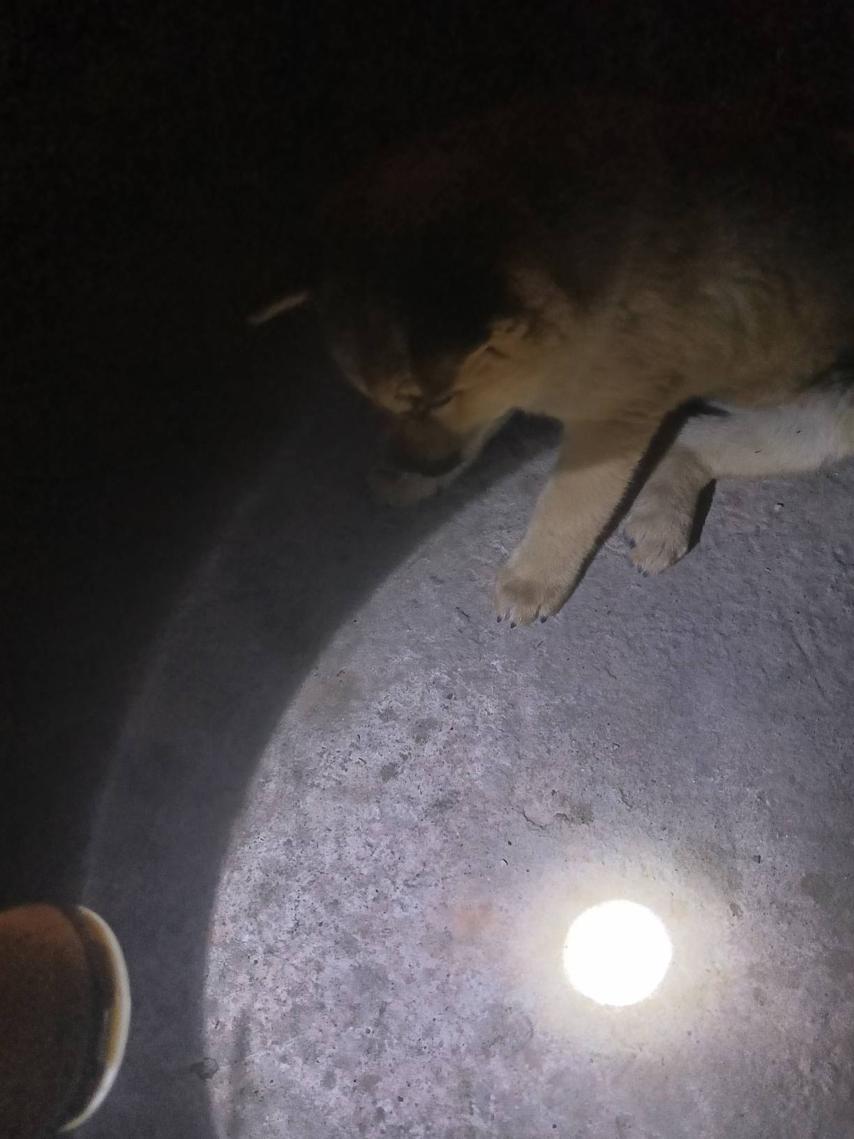 猪猪今晚生不生啊，我都想上去睡觉了



79 / 作者:忙碌的藤壶 / 
