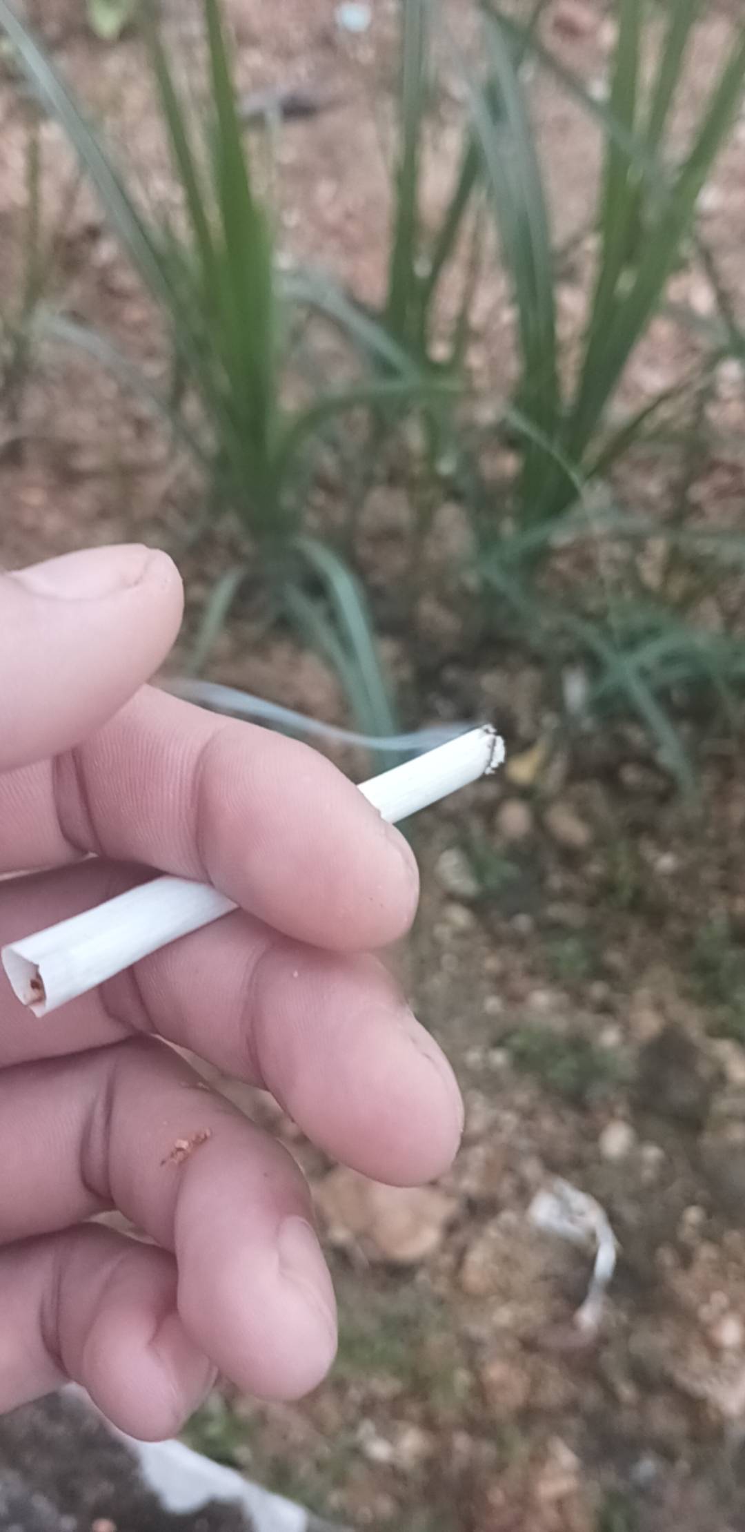 昨晚有几千多，今天穷的烟抽不起

63 / 作者:七匹狼二 / 