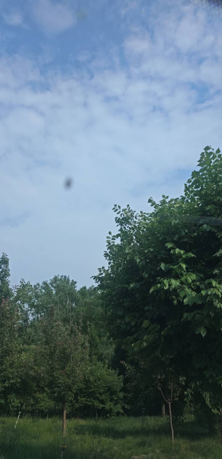 什么口子都做不下来 老哥们流落大街第二天了 能不能支援一顿饭 日后必定百倍奉还 

94 / 作者:世俗de / 