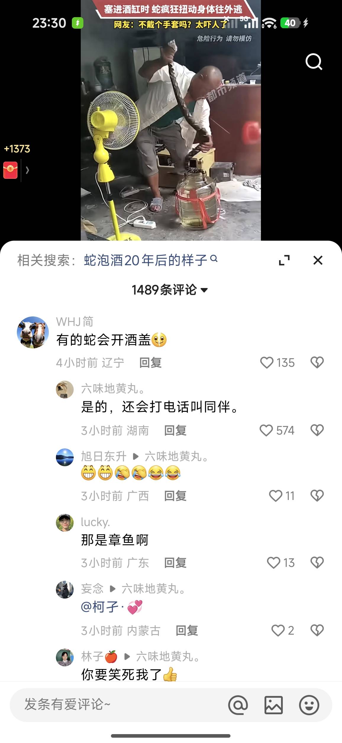 迟早有一天会笑死在ks评论区

26 / 作者:小0度 / 