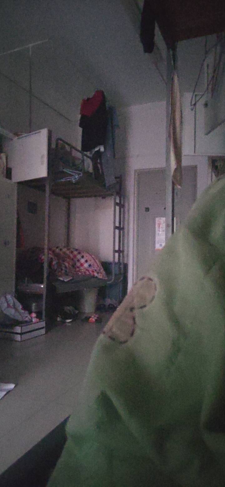 我感觉自己就像下水道卑微的臭老鼠

82 / 作者:红嫁衣 / 
