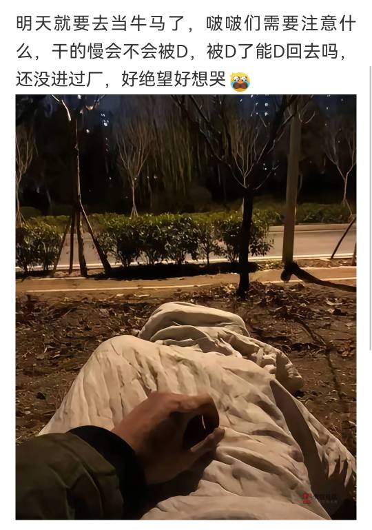 瘫痪了


56 / 作者:湖南陈小春 / 