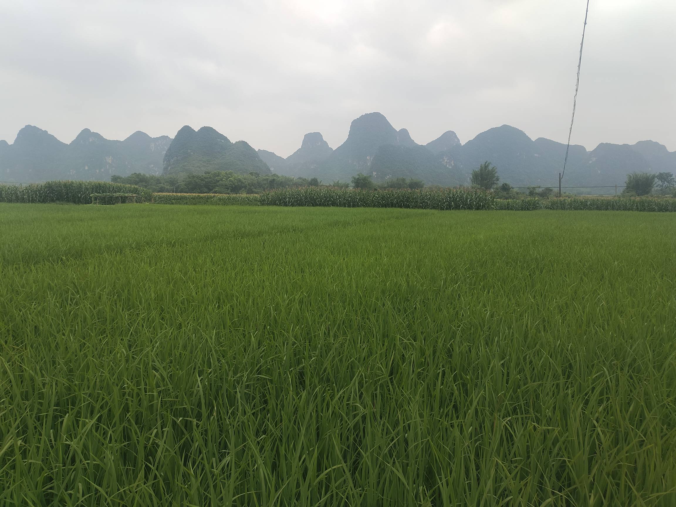 海南文昌鸡应该也不错，

47 / 作者:要辩难辩 / 