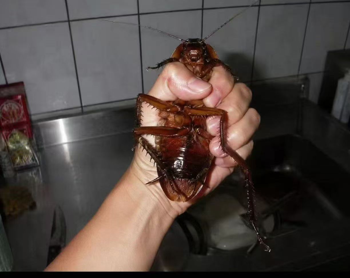 爬我的菜捏S你

94 / 作者:羊肉汤 / 