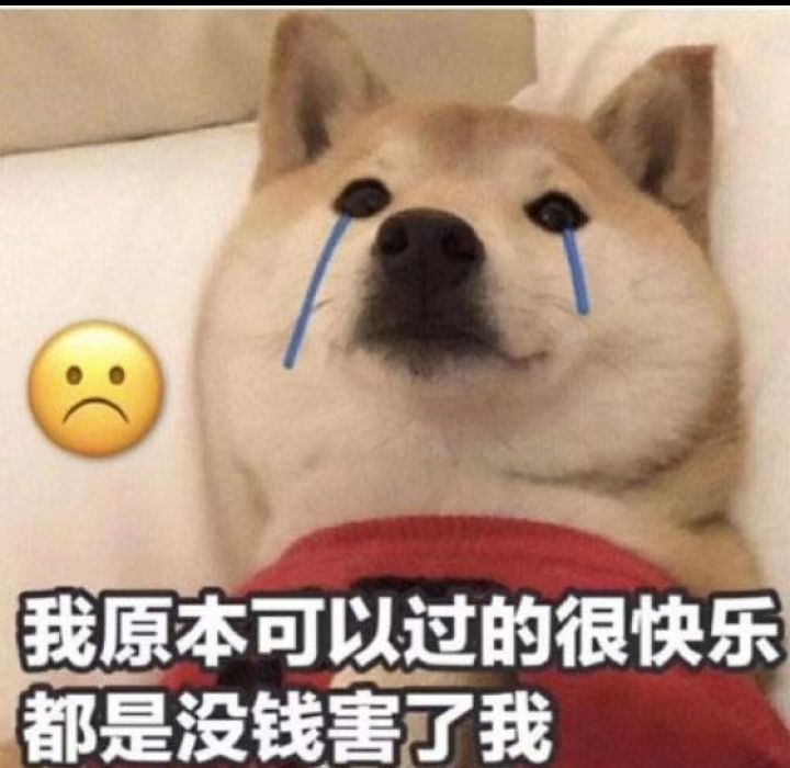 我敢赌卡农老哥 百分之八十是肥仔 而且是碳水狂炫 猪脚饭嘎嘎吃 肥仔水不离身 

46 / 作者:伍先森哟 / 
