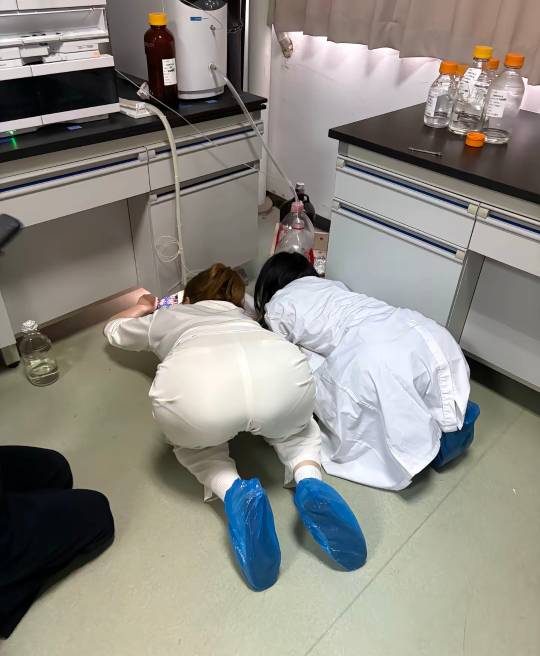 老哥们，医学研究生整天就是泡在实验室做实验，好累啊

65 / 作者:假老哥真挂壁 / 