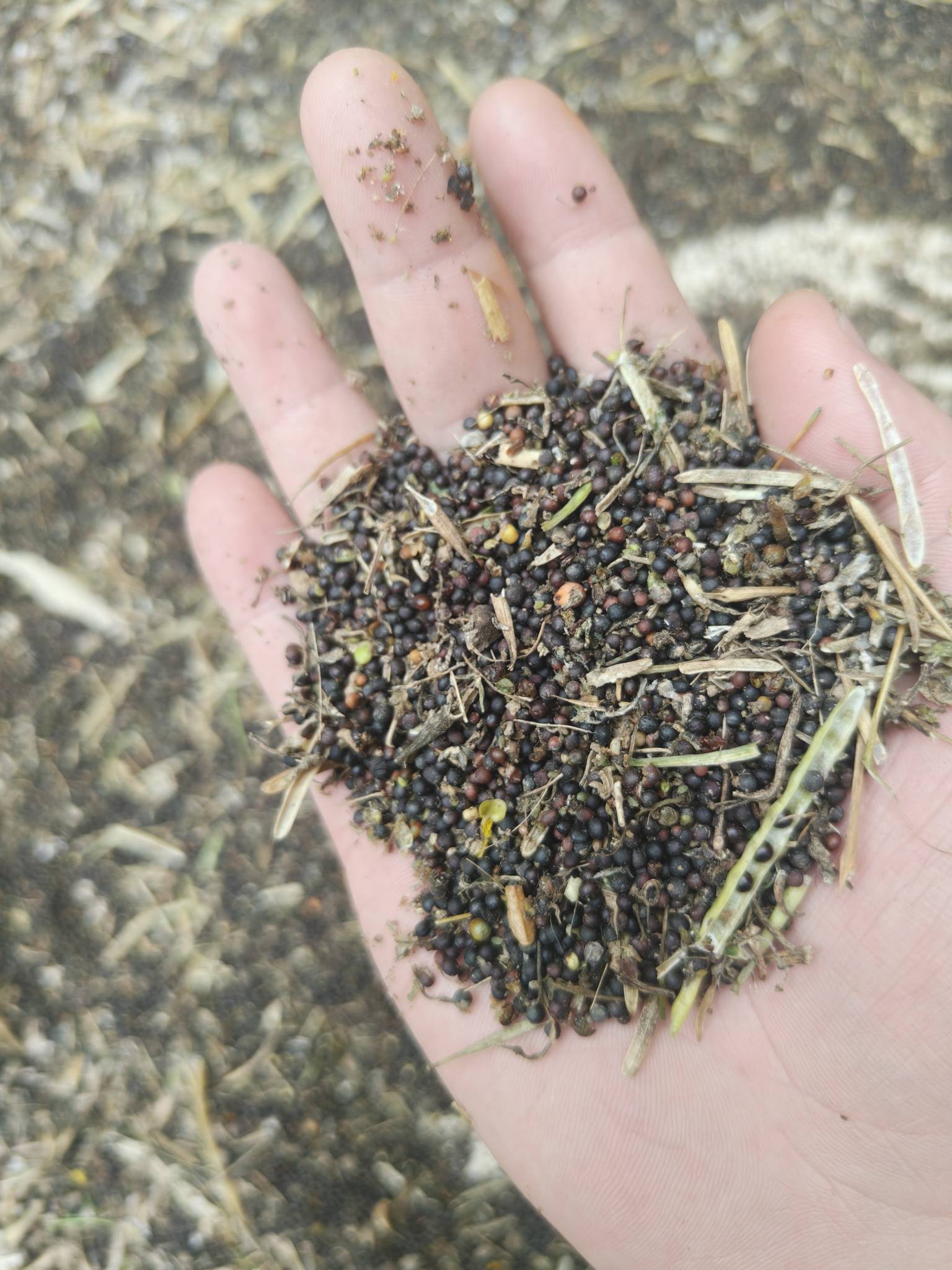 老哥们猜猜这是什么


90 / 作者:好饿老哥们 / 