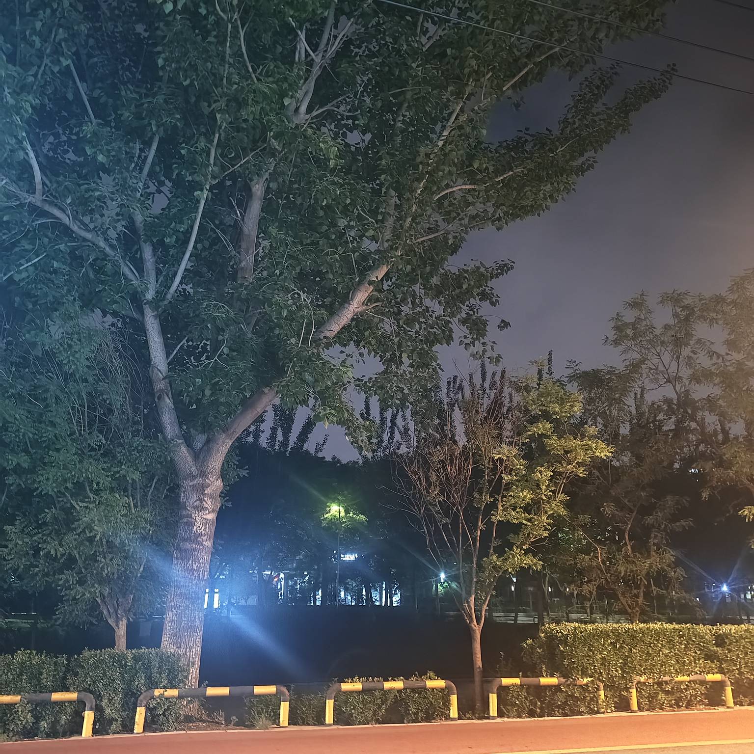 公园也待不下去，都是蚊子，今晚不知道睡哪儿

88 / 作者:卡农咚咚 / 