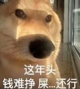 听到鸟叫声就知道一不小心又熬穿了

22 / 作者:神孙策 / 