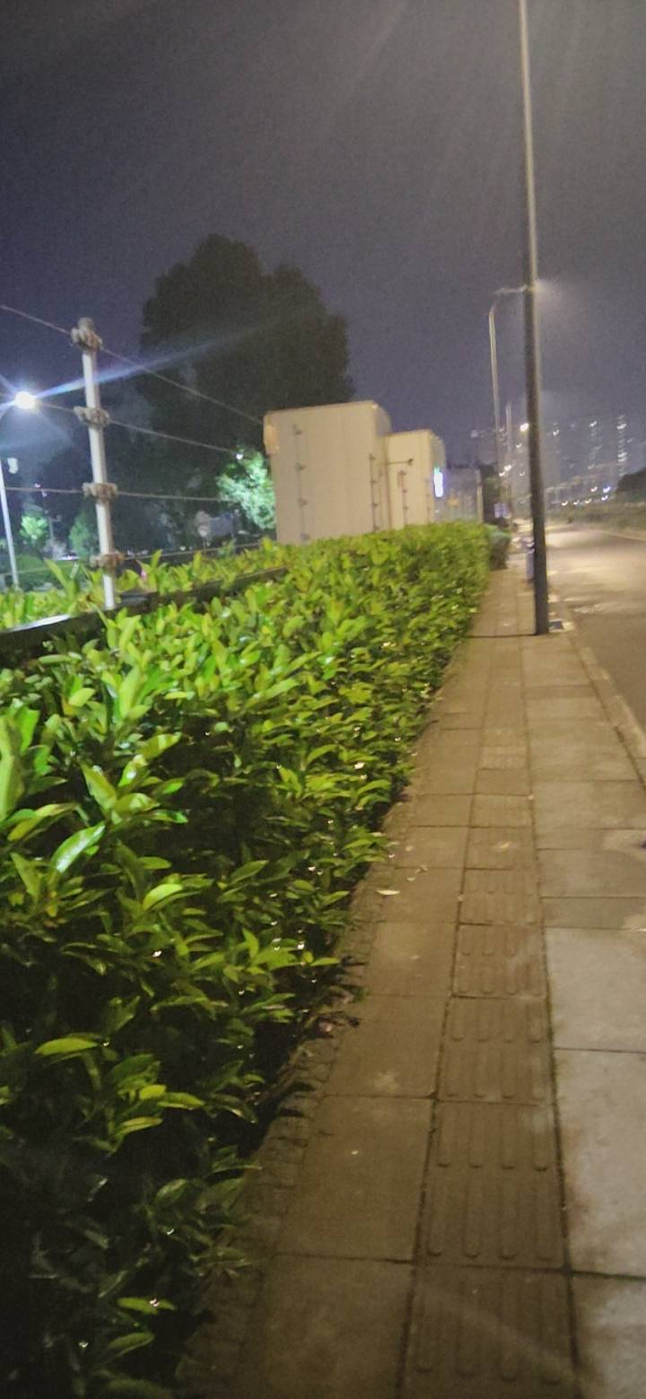 老哥们，黑厂下班了。已经顶住一周了。挣了1000的实力。

0 / 作者:红嫁衣 / 