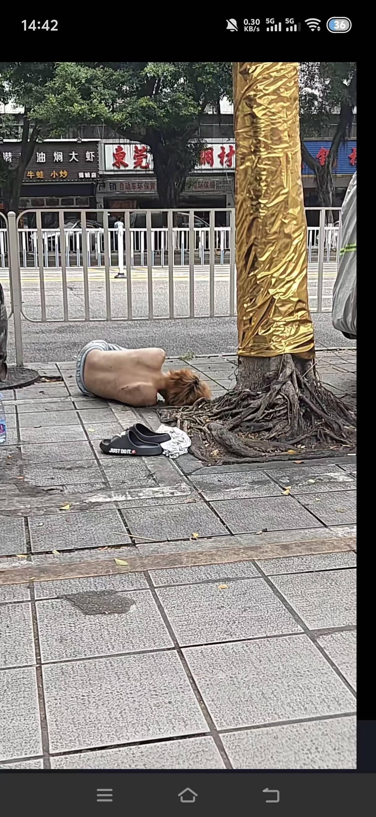 这是哪个老哥？在长安宵边这里睡觉

5 / 作者:挂比了救我鸭 / 