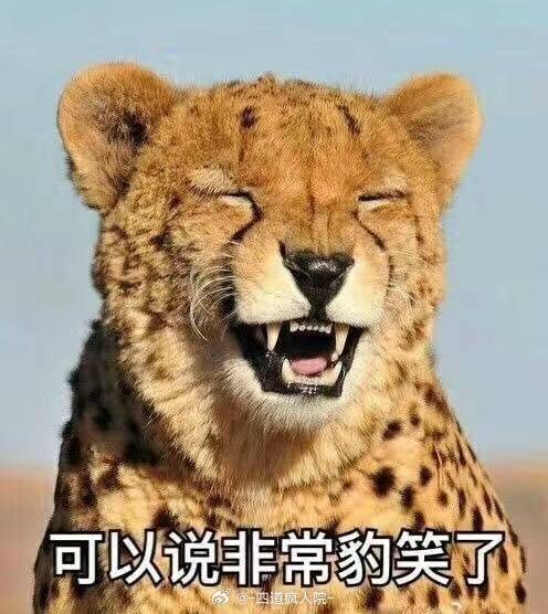 青岛是一天只能抽三次对吧

44 / 作者:Erah / 