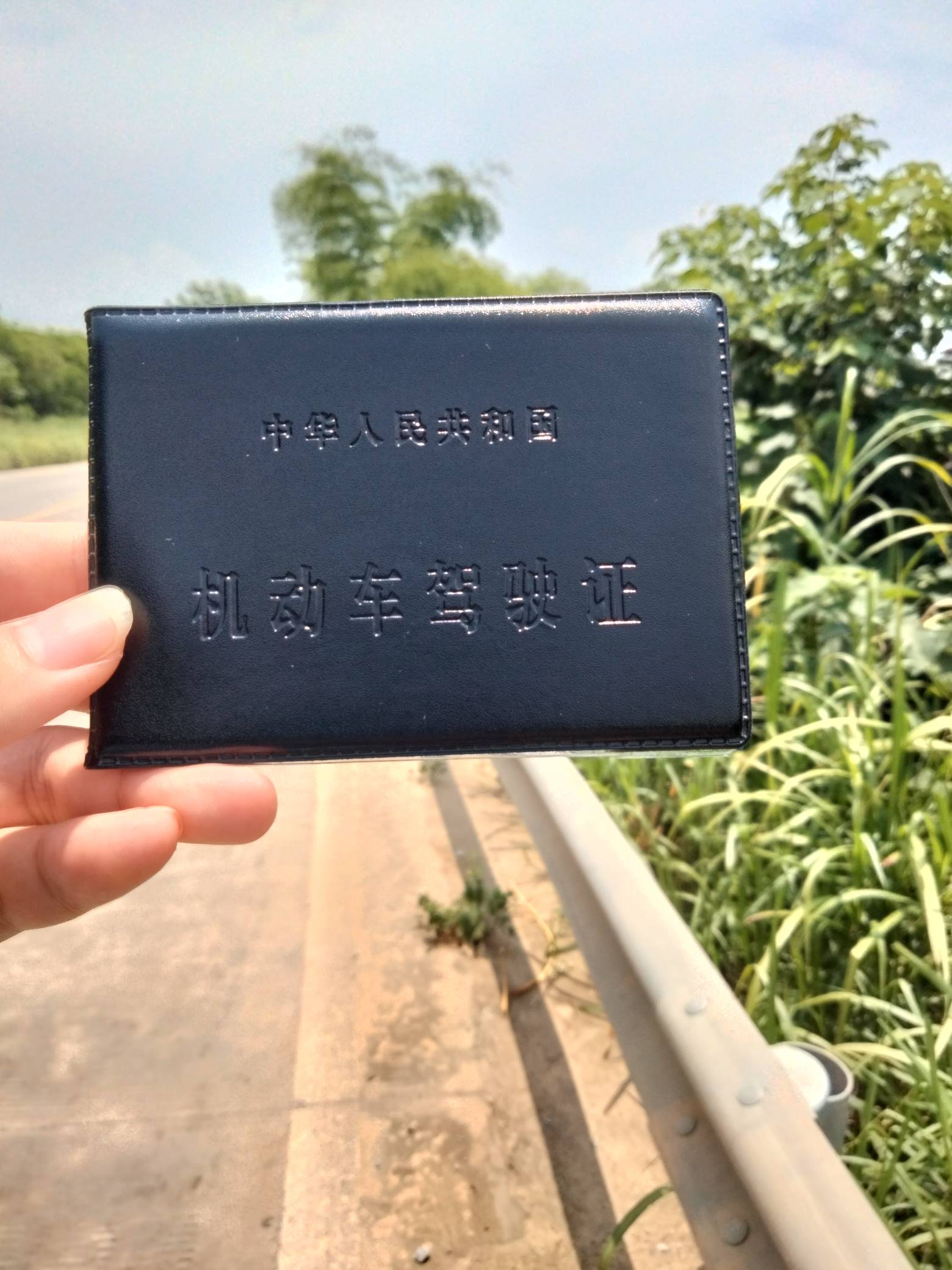 老哥们驾照也是拿到了，但我发现我开心不起来，感觉我更多的是享受考驾照的过程，而不65 / 作者:机会哈哈 / 