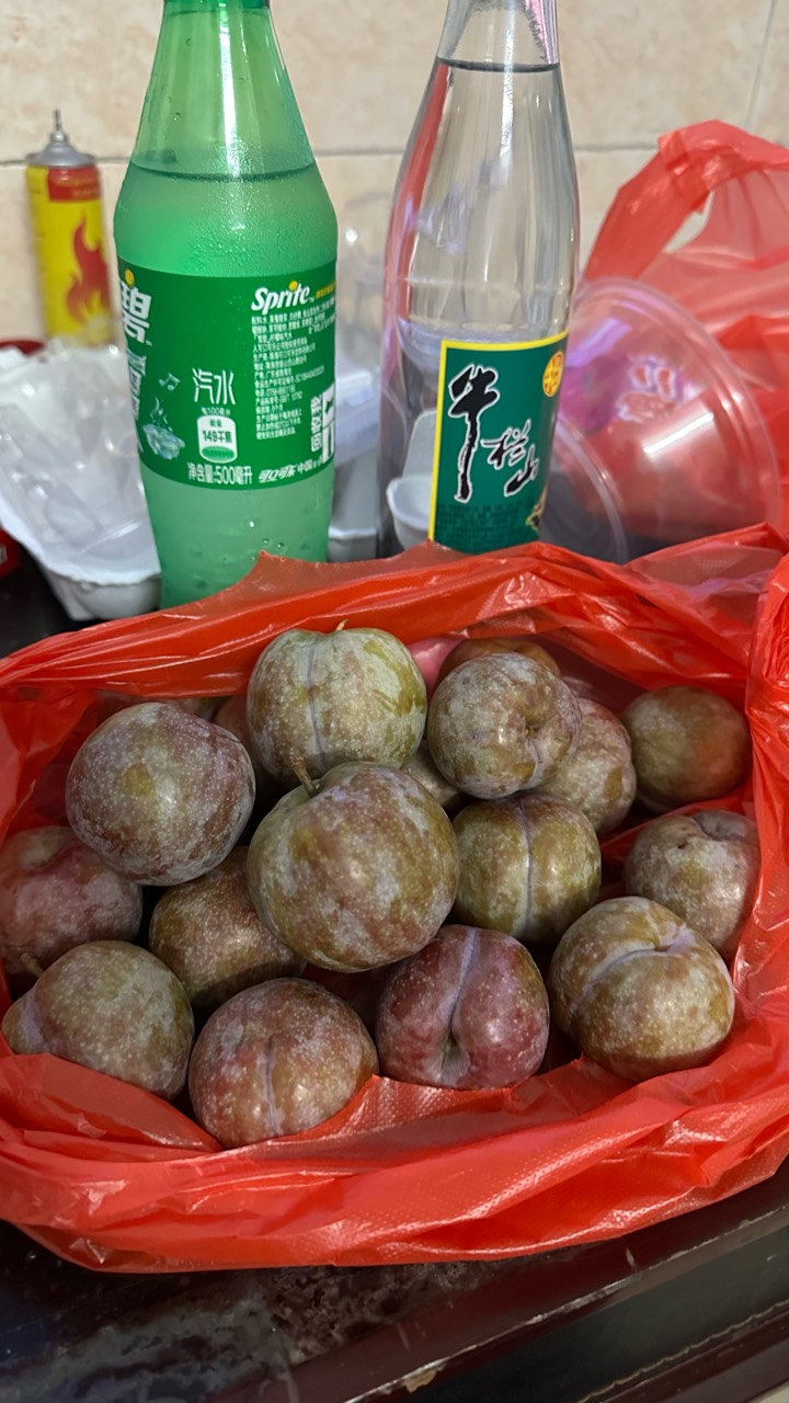 好新鲜的三华李，来点饭后果老哥

12 / 作者:不知明的靓仔 / 