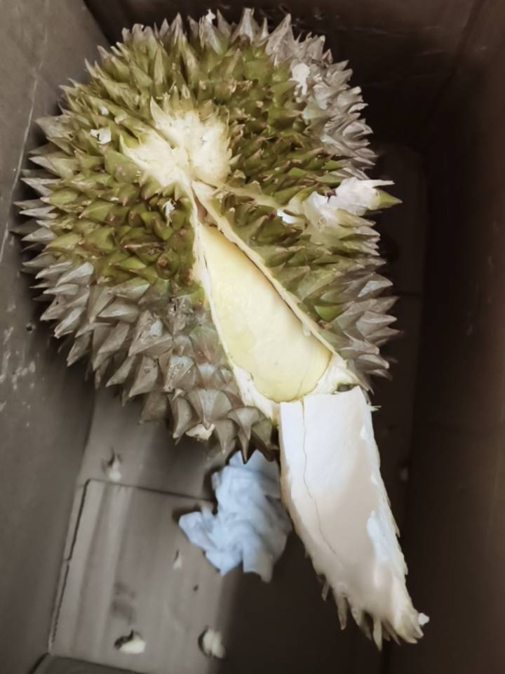 老哥们第一次吃高档货没有裂口闻着很香掰不开强行用刀切了发现里面肉梆硬的现在怎么办79 / 作者:温暖5188 / 